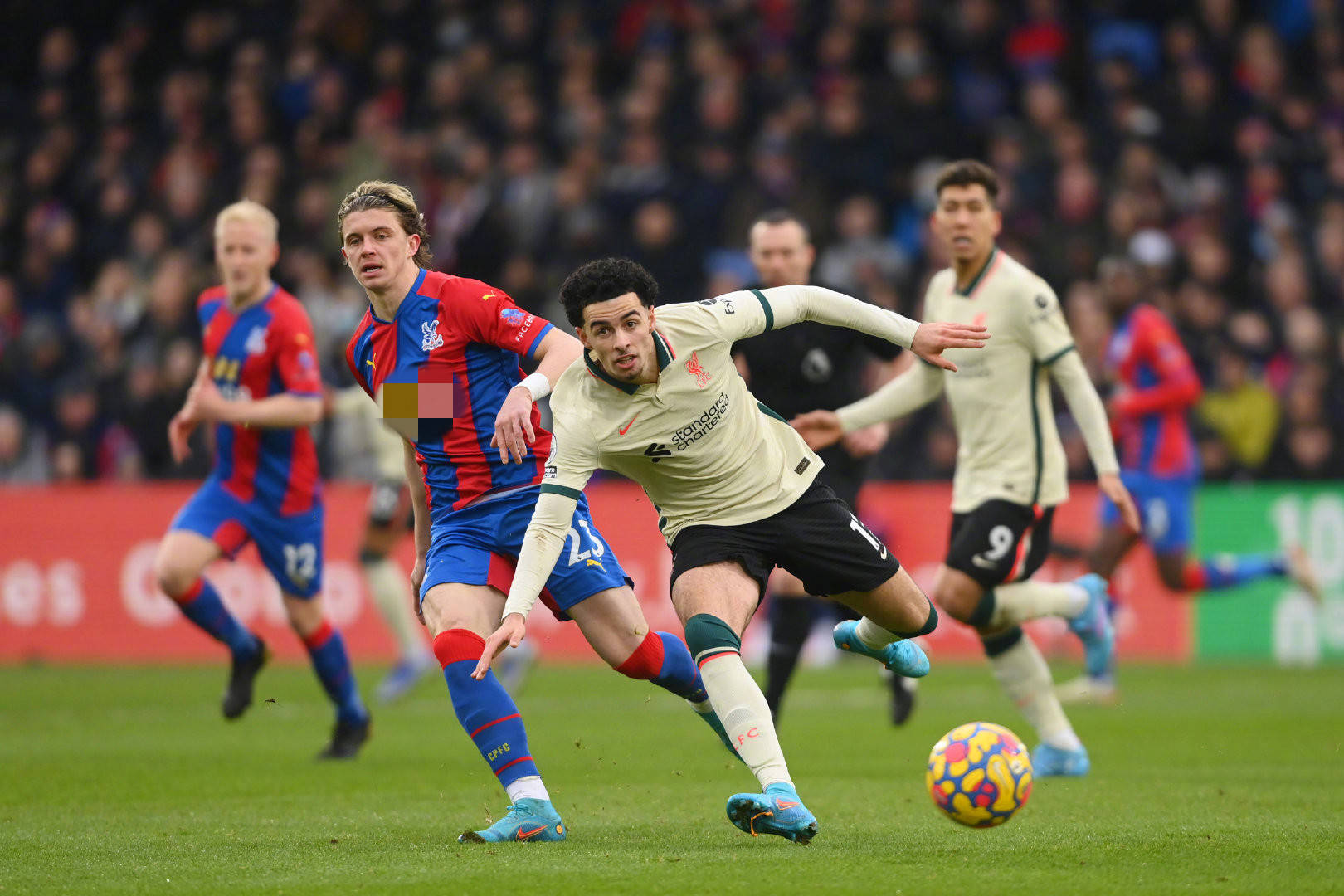 和其他绿色 和其他绿色